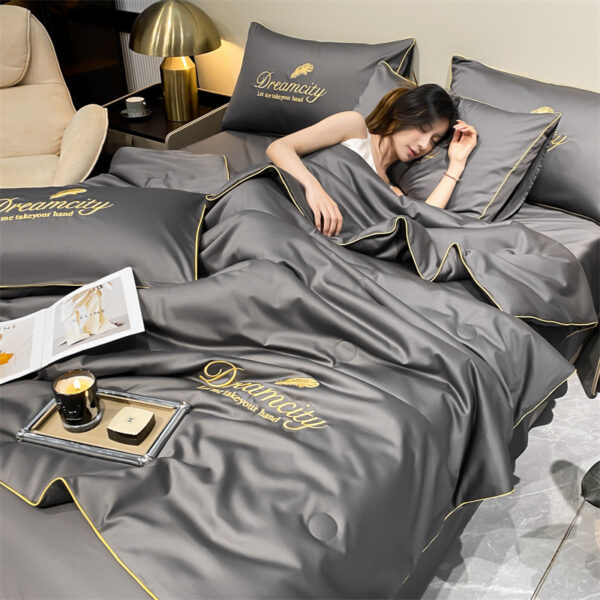 Modern Simple Washed Silk Airable Cover Ice Silk Printing And Dyeing Embroidery - Image 3