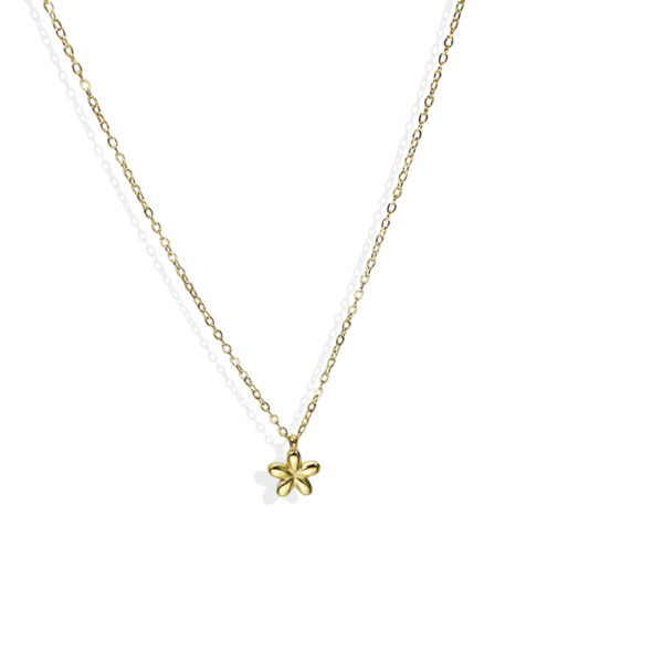 Lxalry 18K Gold Plated 5 Petal Floral Mirror Jewelry Set  Hypoallergenic Skin Safe Necklace   Stud Earrings For Daily Date Night  Never Fade Adjustable Luxury Gift - Image 5